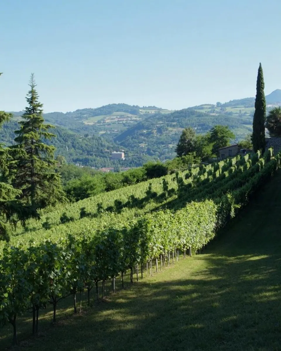 Le colline del Monferrato